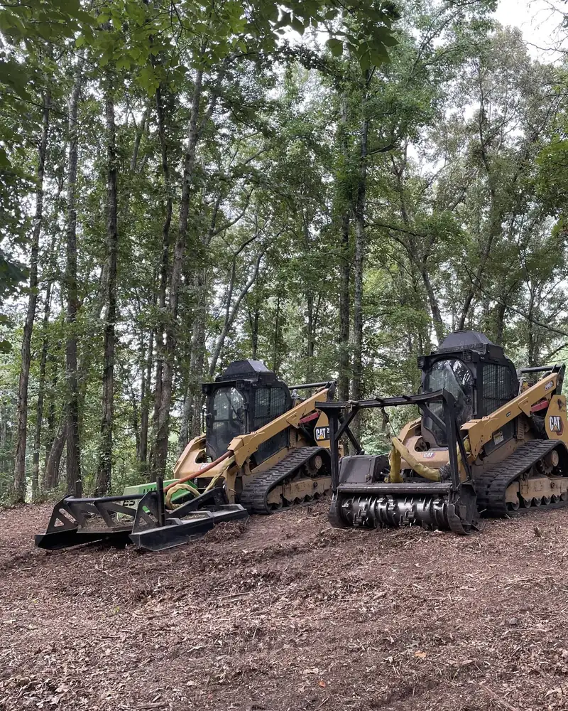 A forestry mulching head and a grapple rake mounted on tracked machines at the edge of standing timber