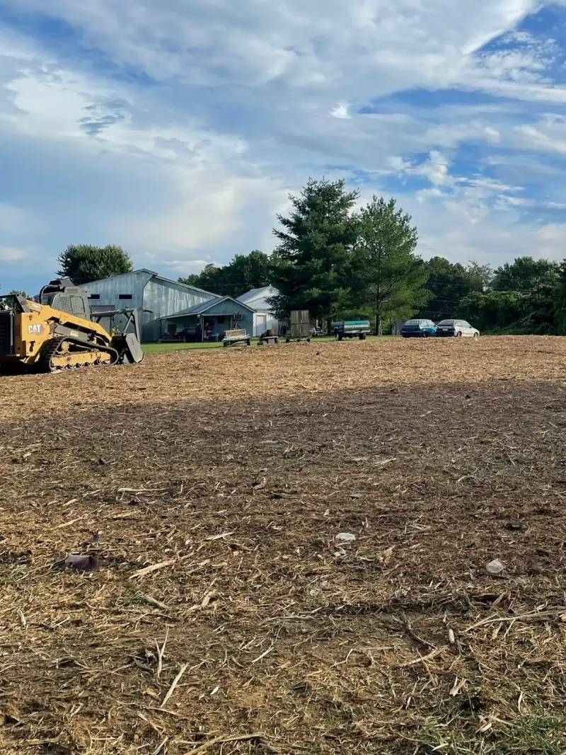 The same lot opened out to mulched ground, with a tracked mulcher parked at the treeline